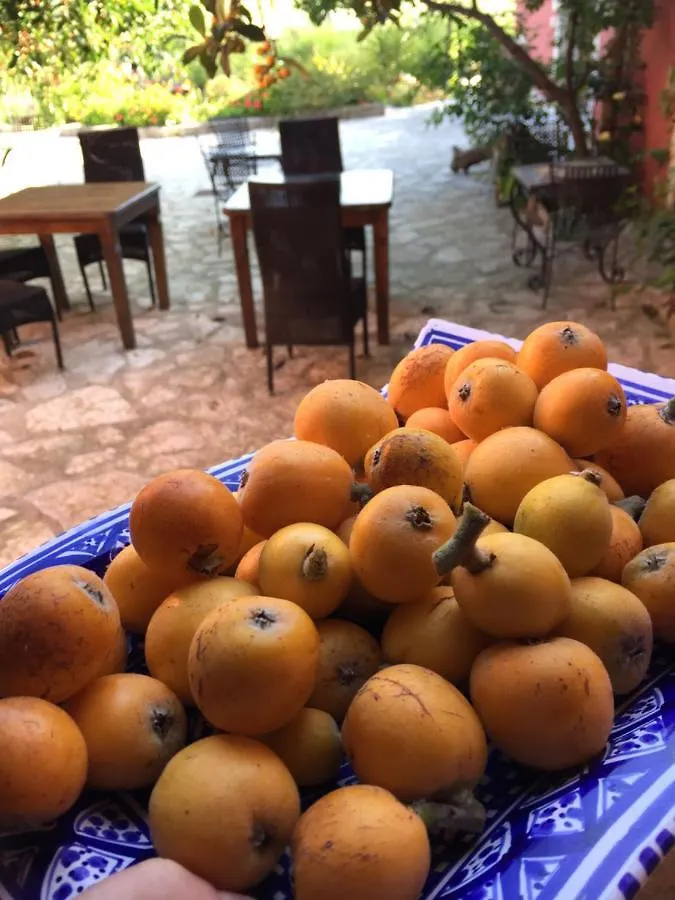 ** לינה וארוחת בוקר Crocevie B&B Baglio Degli Ulivi איטליה
